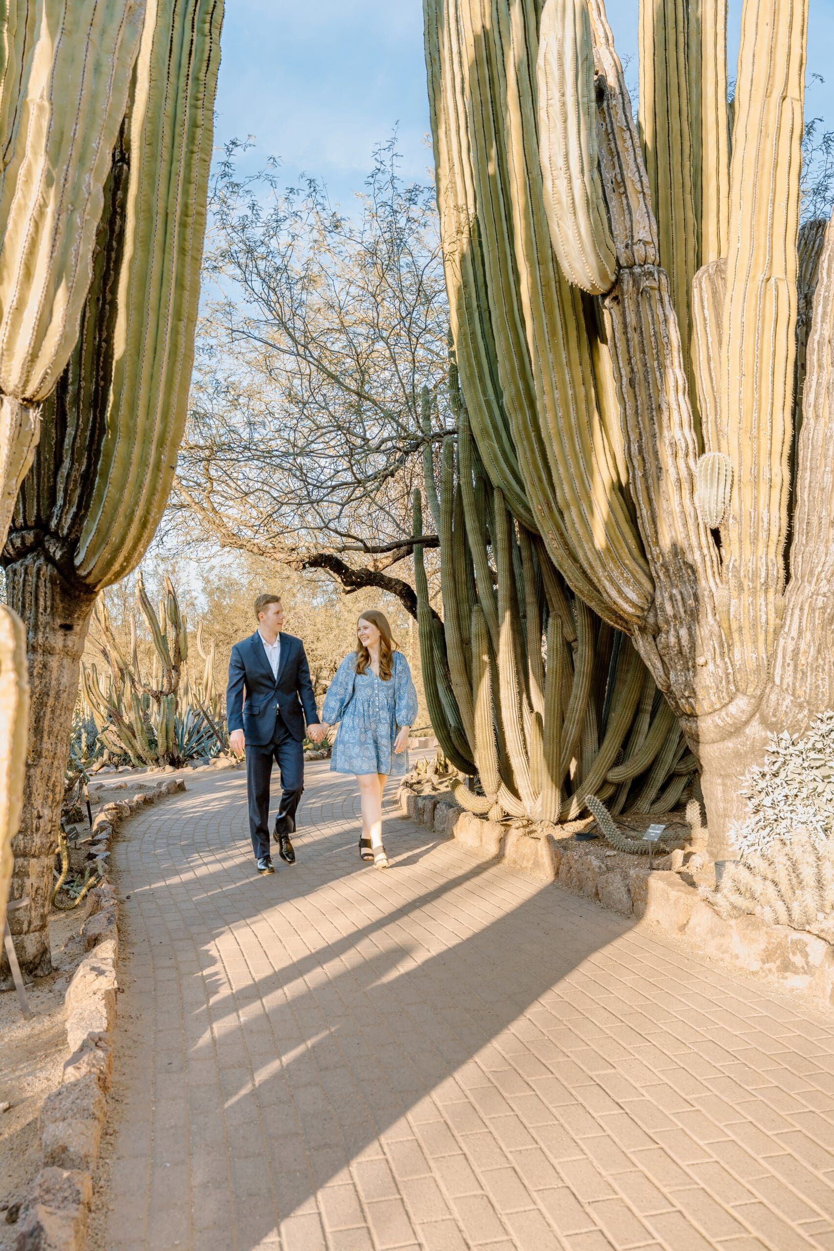 Couple holding hands and walking down desert botanical pathway; giant cacti in background.
